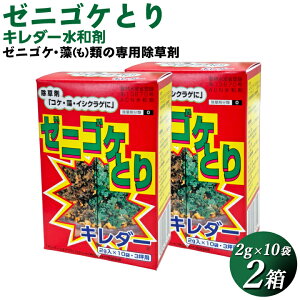 [jSPCVNQAޗp̏܁@L_[a܁i2g×10܁j2Zbg ߂킩₷AƒłȒPɎgp\łI