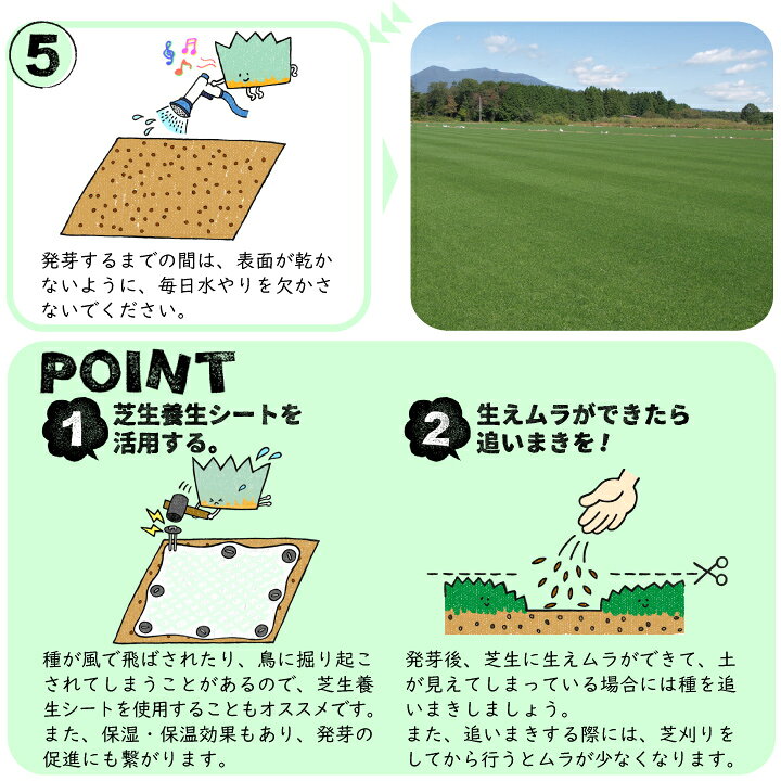 楽天市場 芝生 種 ケンタッキーブルーグラス 種 ミッドナイト 1kg 寒地型芝生 西洋芝 エバーグリーン 常緑 芝の種 補修 補植 国分グリーンファーム