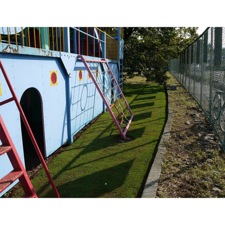 楽天市場 寒地型 芝生 常緑 ロール芝 ケンタッキーブルーグラス 約1平米 2ロール 冬季 エバーグリーン 国分グリーンファーム