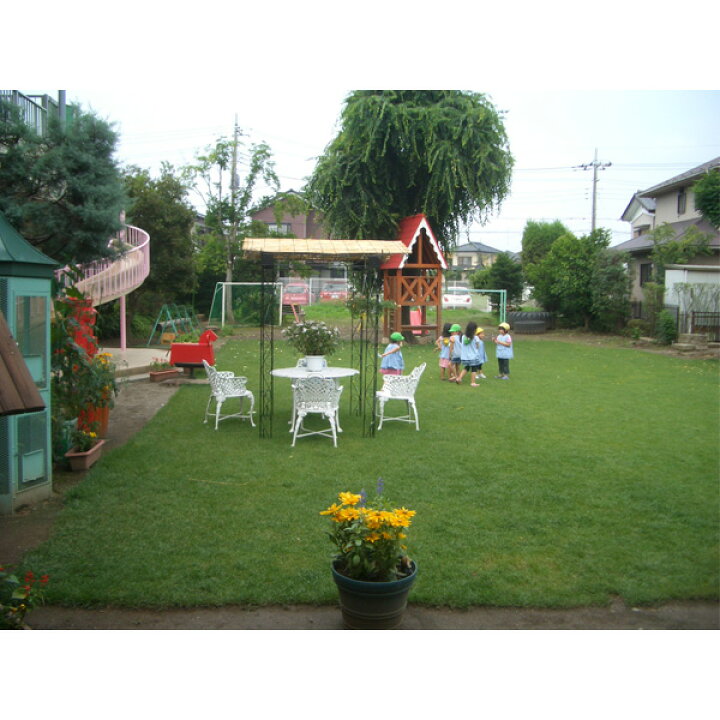 楽天市場 寒地型 芝生 常緑 ロール芝 ケンタッキーブルーグラス 約1平米 2ロール 冬季 エバーグリーン 国分グリーンファーム