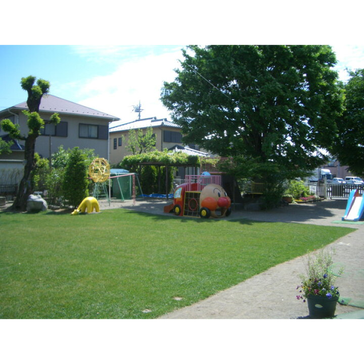 楽天市場 寒地型 芝生 常緑 ロール芝 ケンタッキーブルーグラス 約1平米 2ロール 冬季 エバーグリーン 国分グリーンファーム