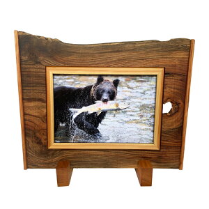 y1_́zÍރnhCh ʐ^āi4jnhCh tHgt[ A3TCY 29.7cm×42.0cm ʐ^ ؍ Í