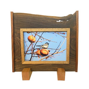 y1_́zÍރnhCh ʐ^āi5jnhCh tHgt[ A4TCY21.0cm×29.7cm ʐ^ ؍ Í