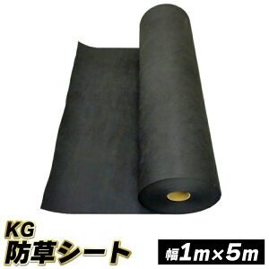 KGhV[gy105cmz5m(5ĕ)@hV[g Gh~V[g V[g   G΍ _Ǝ K[fjO ƒ؉ nEX h~ GV[g k͔| |pi | 