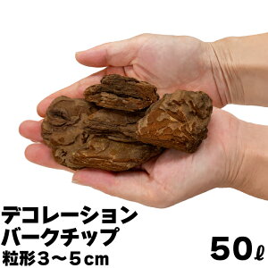 fR[Vo[N`bv 50L `3`5cm }`O Ebh`bv Gh~ h~ Ԓd  GNXeA K[fjO A VR | |po[N`bv ϗtA ێ o[N