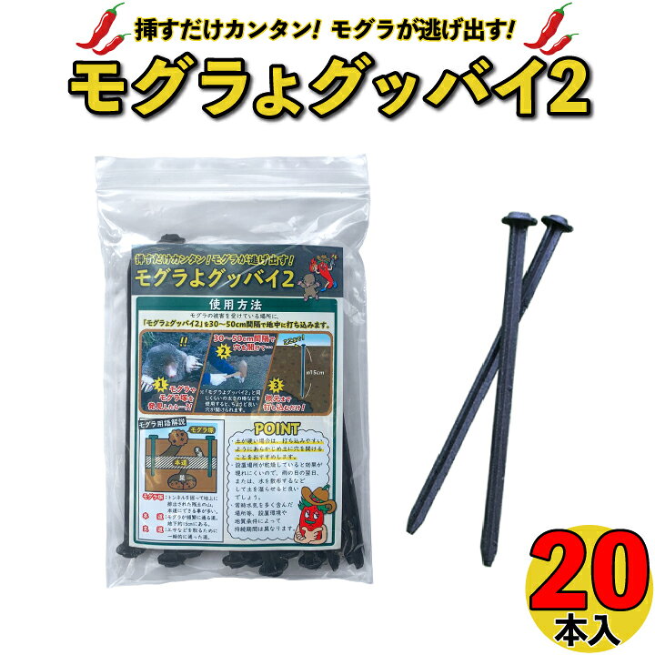 楽天市場 モグラ用忌避剤 モグラよグッバイ2 本入 お試し用 モグラ 撃退 もぐら 退治 モグラよけ モグラ 対策に 唐辛子入りでモグラ 撃退 カプサイシン入り忌避剤きひざい モグラ退治 もぐら 退治 モグラ 駆除 方法 芝 ガーデニング 農作物 園芸植物 国分 楽天市場 モグラ用忌避剤 モグラよグッバイ2 本入 お試し用 モグラ 撃退 もぐら 退治 モグラよけ モグラ 対策に 唐辛子入りでモグラ 撃退 カプサイシン入り忌避剤きひざい モグラ退治 もぐら 退治 モグラ 駆除 方法 芝 ガーデニング 農作物 園芸植物 国分