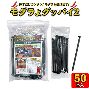 O OOboC2 (50{jO ގ  쏜 O悯 O ΍ O쏜 JvTCV Ђ O ގ hq O쏜  ގ s }