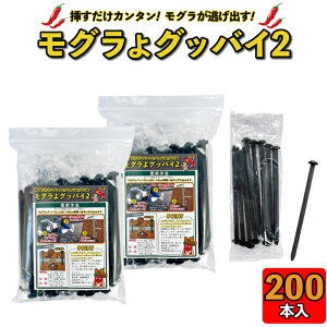 O OOboC2 (200{jO ގ  쏜 O悯 O ΍ O쏜 JvTCV Ђ O ގ hq O쏜  ގ s }