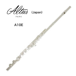 t[g AltusiA^XjA10E