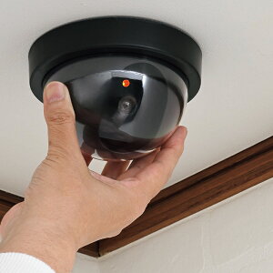 JNZ[ DD-01 hƃ_~[Jih[^jyhƃJ/_~[/ȒPt/l炵/sRґ΍z