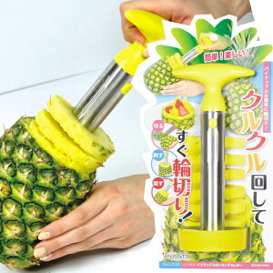 xWN pCibv[OJb^[ C-9120