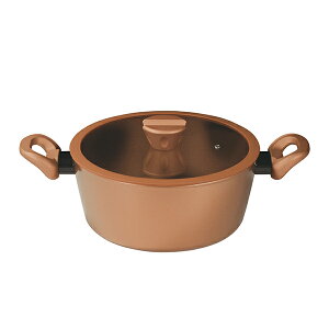 �p�[���@CP-8810 VISIONS GOLD Coating IH�Ή��V�`���[�|�b�g24cm