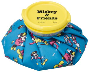 XP[^[ ACXobOS ~bL[&tY ICB1@΍ M M ACVO X X̂ XX ACXobN Ђ傤̂ Ђ 킢 LN^[ RpNg  wZ 