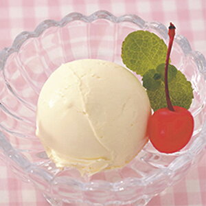 送料無料HOMESWANアイスクリームメーカー