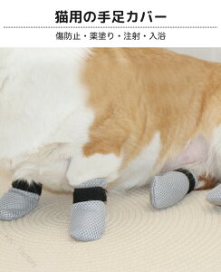 ���i�摜