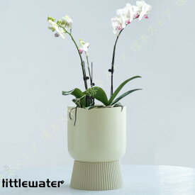 自動吸水プランター 植木鉢 陶器製 底面給水鉢 高さ13.5cm 園芸 ガーデン プレゼント 現代 ホワイト インテリア バルコニー 給水ヒモ付き ガーデンポット 省力化 鉢植え 観葉植物 室内 玄