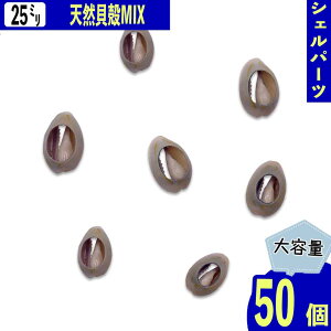 y2_ȏ܂Ƃߔœz VFp[c Lk JE[ O[ 25mm ~bNX 傫 匊 C L VR 50 } W nhCh fRp[c BD3972