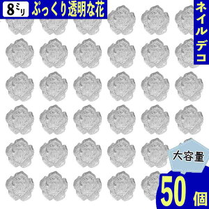 y2_ȏ܂Ƃߔœz lCp[c  NA 8mm t[ 50 ȉ 3D   Ղ J{V W \t fRp[c BD3857