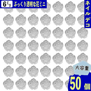 y2_ȏ܂Ƃߔœz lCp[c  NA 6mm t[ 50 ȉ 3D   Ղ J{V W \t fRp[c BD3858