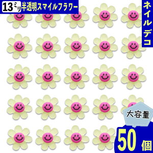 y2_ȏ܂Ƃߔœz lCp[c  X}C 13mm CG[  50 z Ղ t[  3D J{V W fRp[c BD3934