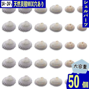 y2_ȏ܂Ƃߔœz VFp[c Lk zCg 14mm[24mm ~bNX  C L VRf 50 } r[` W | fRp[c BD3966