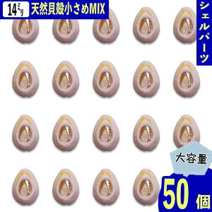 y2_ȏ܂Ƃߔœz VFp[c Lk JE[ AC{[ 14mm  ~bNX 匊 C L VRf 50 } W | fRp[c BD3969