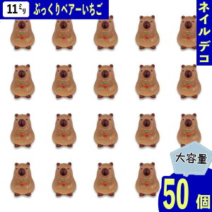 y2_ȏ܂Ƃߔœz lCp[c N} C`S  11mmuE 50 F Aj} Ղ  xA[  J{V W fRp[c BD4002