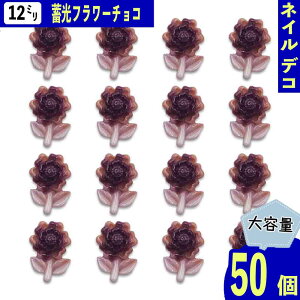 y2_ȏ܂Ƃߔœz lCp[c َq `R  12mm ~ uE 50 t[ XC[c  ^  \t W fRp[c BD4022