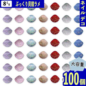 lCp[c Lk 8mm } NA ~bNX 100 VF C   Ղ 3D L r[` W fRp[c BD4041