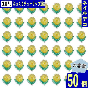 lCp[c  `[bv 10mm CG[ 50 t[ t  F Ղ NA  W fRp[c BD4048