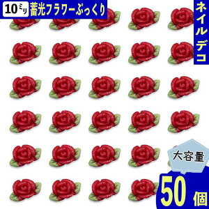 lCp[c  10mm  ~ t[ 50 Ղ  3D t Ԃт KN [Y  W fRp[c BD4122