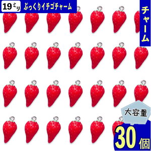 `[ C`S 19mm   30  ʕ t[c Ղ Jt Xgx[ ANZT[ nhCh L[z_[ Xgbv p[c BD4134