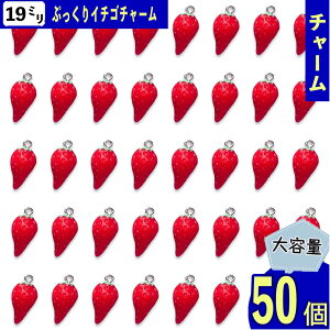 `[ C`S 19mm   50  ʕ t[c Ղ Jt Xgx[ ANZT[ nhCh L[z_[ Xgbv p[c BD4135