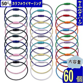 ワイヤー キーリング 15cm 60個 カラフル ミックス ネジ式 ステンレス製 キーホルダー パーツ アクセサリー ハンドメイド パーツ BD4163