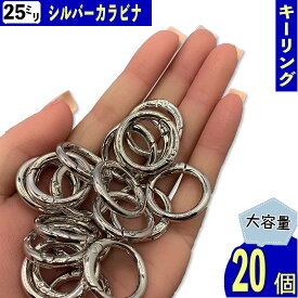 カラビナ 丸 シルバー 25mm 20個 サークル リング 金具 キーリング キーホルダー ナスカン リングショルダー アクセサリー ハンドメイド パーツ BD4185