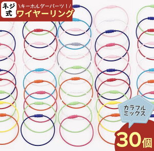 y2_ȏ܂Ƃߔœz L[z_[ p[c C[ O 15cm 30 Zbg lW Jt ANZT[  BD3056