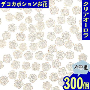 y2_ȏ܂Ƃߔœz lCp[c  NA 6mm 300 I[ J{V W fR p[c WFlC ZtlC W UVW fR[V e ANZT