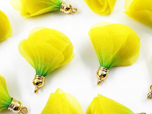 _{|Cg10{^y܂Ƃߔz t[^bZ@t[`[@F@10@CG[@`[@ԁ@`[p[c@t[@sAX@CO@L[z_[