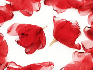 _{|Cg5{^y܂Ƃߔz t[^bZ@ԁ@h@10@bh@^bZp[c@ԁ@`[p[c@Ԃт@sAX@CO@^bZ`[@ANZ