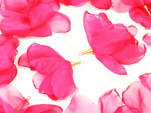 _{|Cg5{^y܂Ƃߔz ^bZp[c@t[^bZ@h@S70mm?80mmO@[YsN@10@^bZ@ԁ@`[p[c@Ԃт@sAX@C