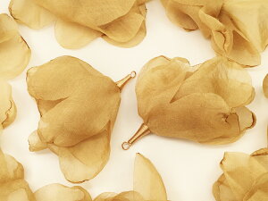 _{|Cg5{^y܂Ƃߔz t[^bZ@x[W@h@10@^bZp[c@ԁ@`[p[c@Ԃт@sAX@CO@p[c@^bZ`[@