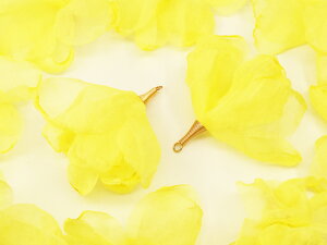 _{|Cg5{^y܂Ƃߔz `[@t[^bZ@h@10@pXeCG[@^bZp[c@ԁ@`[p[c@Ԃт@sAX@CO@p[c@