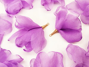 _{|Cg5{^y܂Ƃߔz t[^bZ@p[v@h@10@^bZp[c@Ԃт@`[@ԁ@͂ȁ@sAX@CO@p[c@^bZ`[@