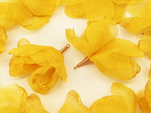 _{|Cg5{^y܂Ƃߔz t[^bZ@CG[@h@10@^bZ@ԁ@`[p[c@Ԃт@^bZ`[@sAX@CO@p[c@Ԍ^@