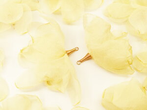 _{|Cg5{^y܂Ƃߔz t[^bZ@LXJ@h@10@ԁ@^bZp[c@Ԃт@sAXCÕ`[Ɂ@^bZ`[@`[@p[