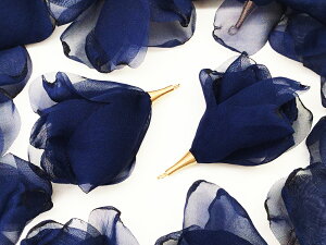 _{|Cg5{^y܂Ƃߔz t[^bZ@lCr[@h@10@ԁ@^bZp[c@Ԃт@sAXCÕ`[Ɂ@`[p[c@^bZ`