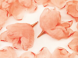 _{|Cg5{^y܂Ƃߔz t[^bZ@T[sN@h@10@ԁ@^bZp[c@Ԃт@`[p[c@^bZ`[@sAX@CO@p