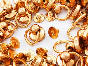 y2_ȏ܂Ƃߔœz g`J@lW@ۃJ t@S[h@KC@30g@hbvnh@ߋ@@X}zP[X@ANZT[p[c@Ap[c@nhChp