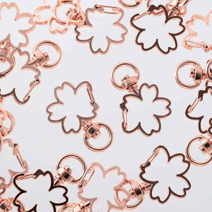 _{|Cg10{^y܂Ƃߔz iXJ@sNS[h@20@ԁ@t[@]J@p[c@L[z_[@@L[O@`F[@ڑ@V_[@p