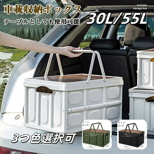 30L 55L  gN [{bNX [P[X ܂ e[u e @\ t gN[